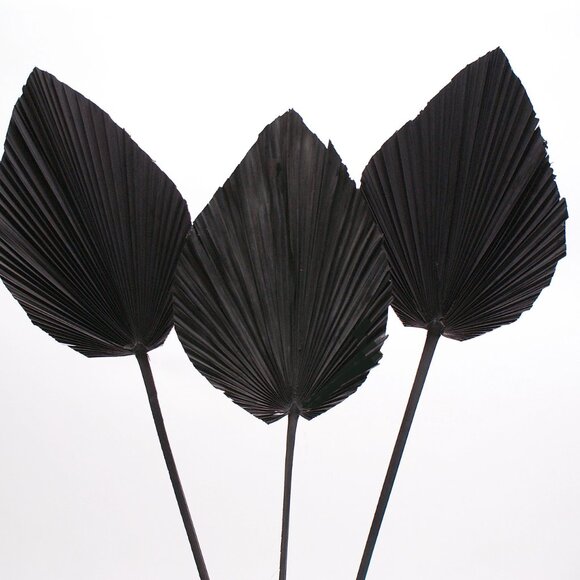 ANAHAW LEAF MED - Picture 3 of 9